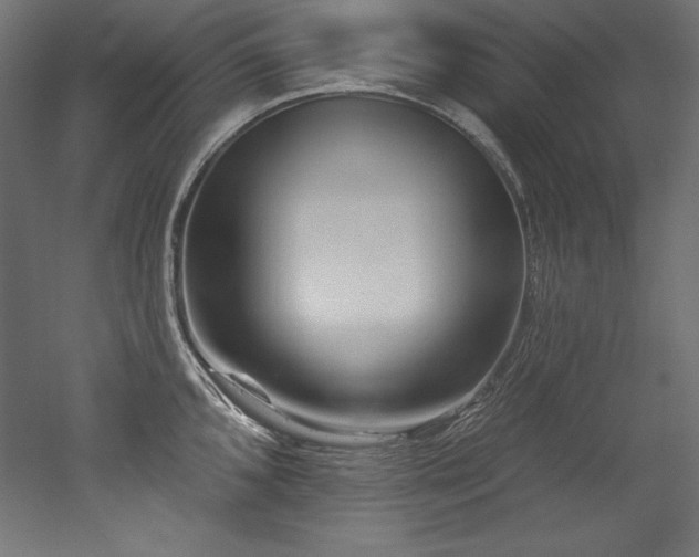 X0000053021096200507081319