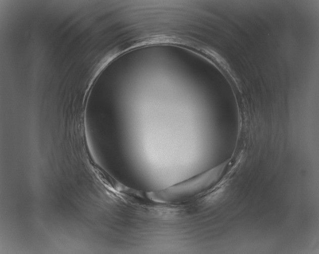 X0000053021097200507081319