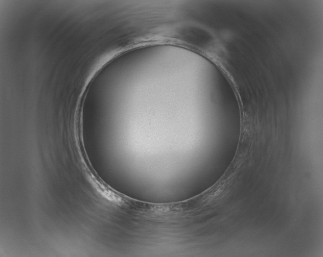X0000053021098200507081319