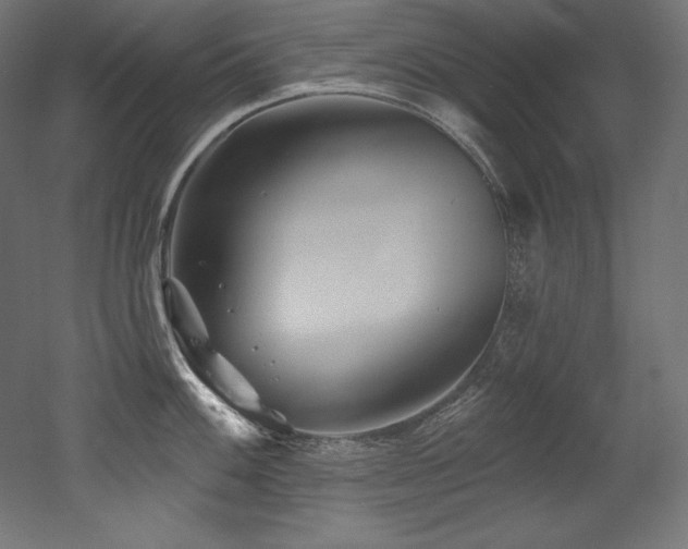 X0000053021100200507081319