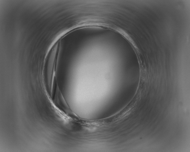 X0000053021101200507081319