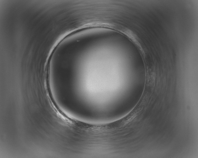 X0000053021102200507081319