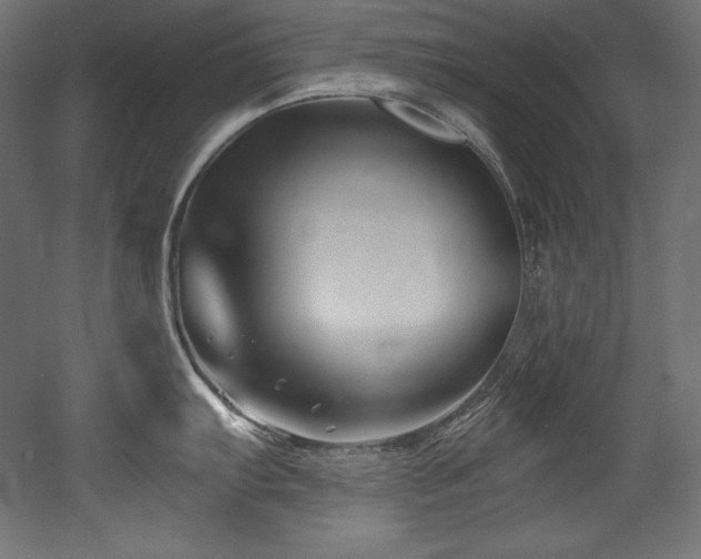 X0000053021103200507081319