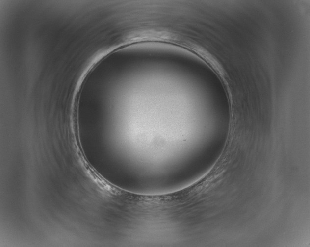 X0000053021104200507081319