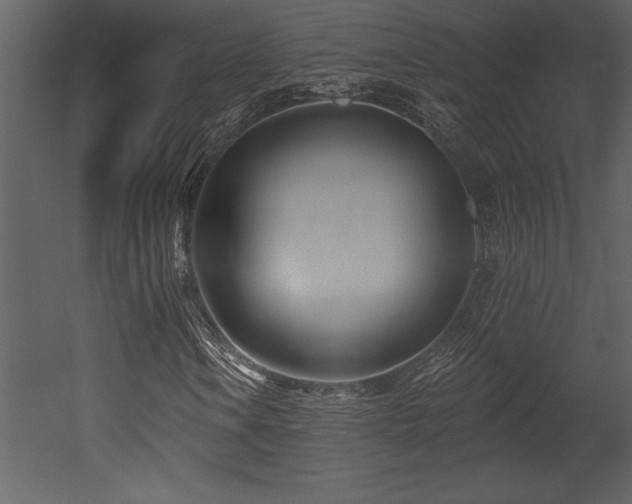 X0000053021106200507081318