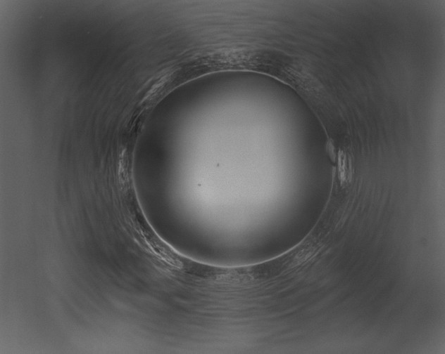 X0000053021107200507081318