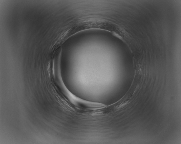 X0000053021108200507081318