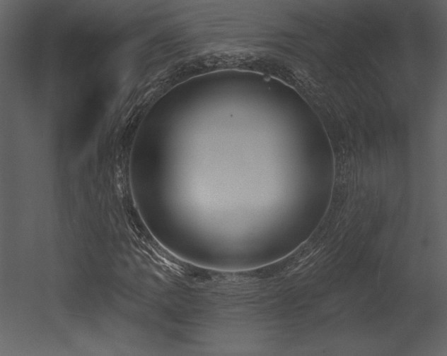 X0000053021109200507081318