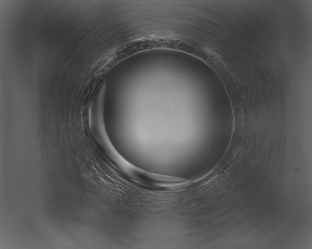 X0000053021110200507081318