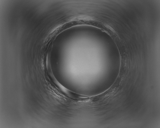 X0000053021112200507081318