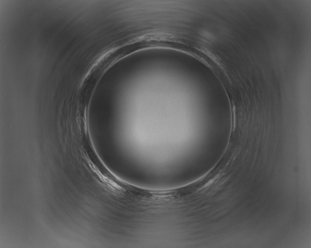 X0000053021115200507081319