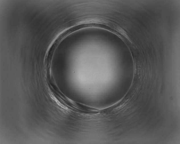 X0000053021116200507081319