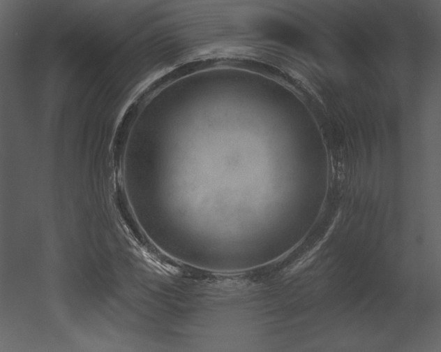 X0000053021117200507081319