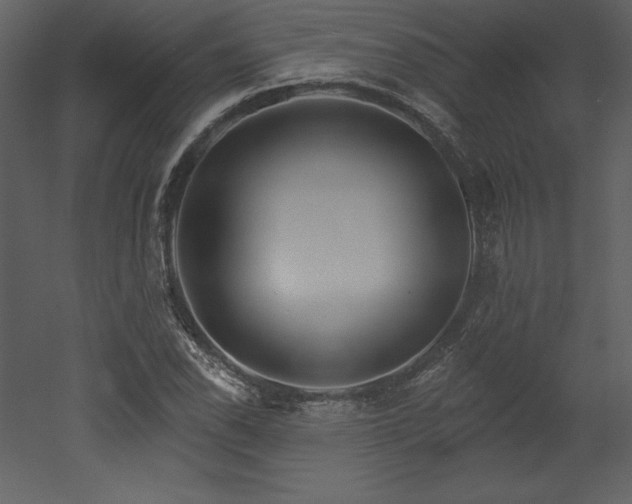 X0000053021118200507081319