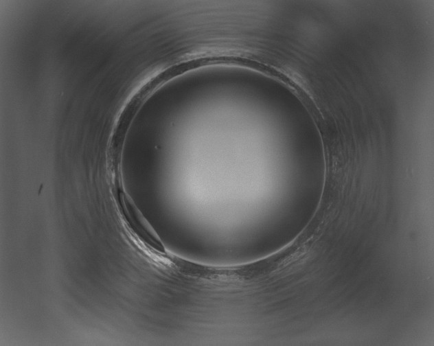 X0000053021119200507081319