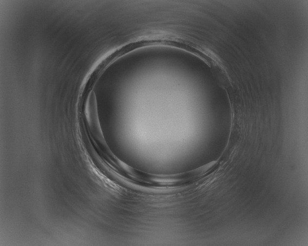 X0000053021120200507081319
