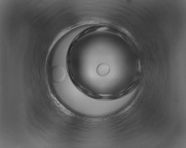 X0000053021122200507081319