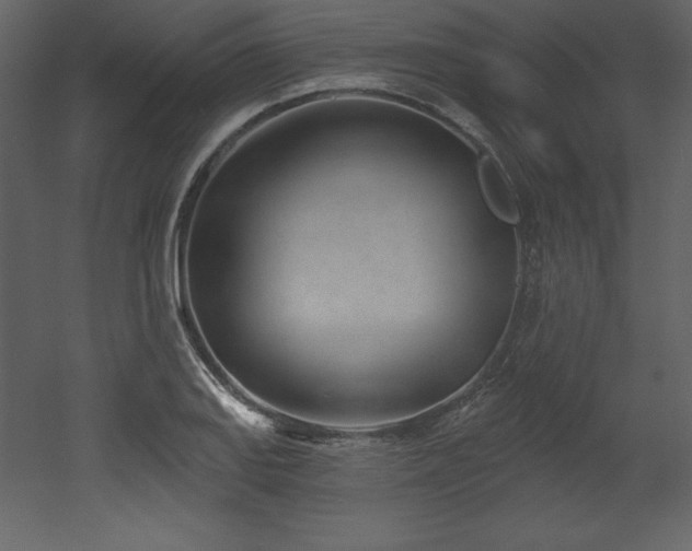 X0000053021127200507081319
