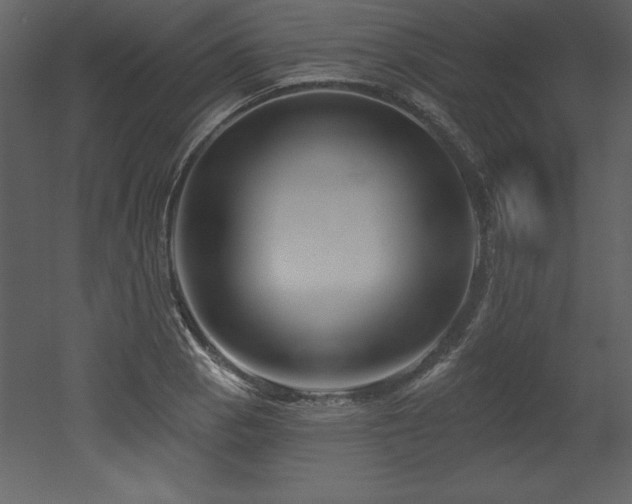 X0000053021129200507081319
