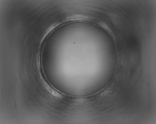 X0000053021130200507081319