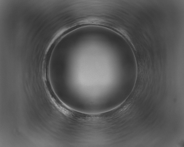 X0000053021131200507081319