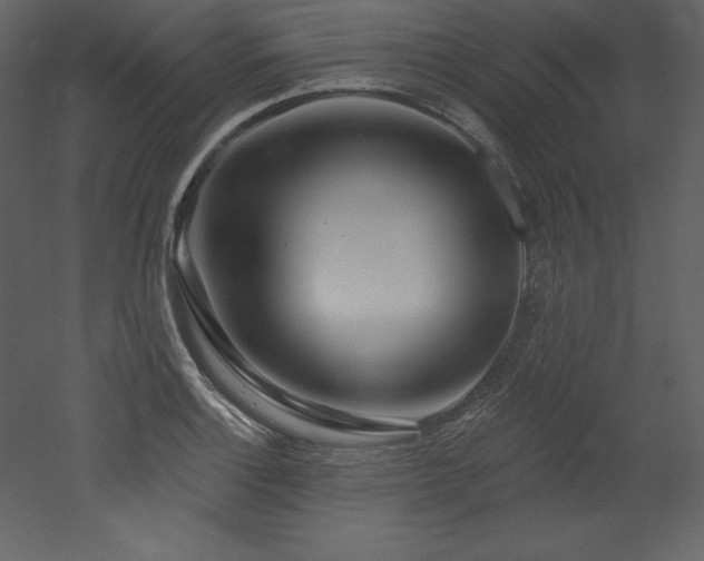 X0000053021132200507081319