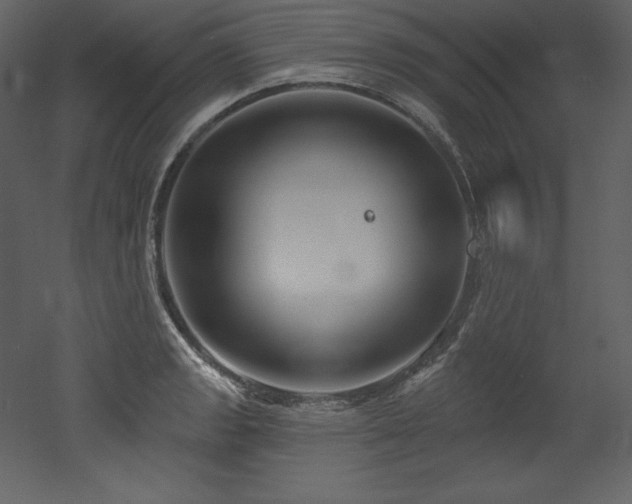 X0000053021133200507081319