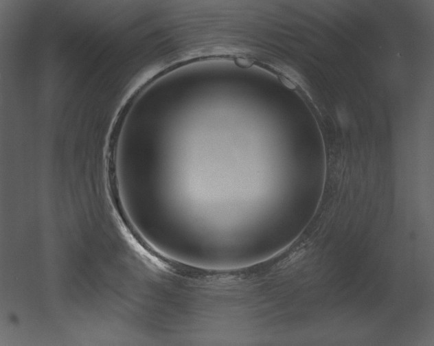 X0000053021135200507081319
