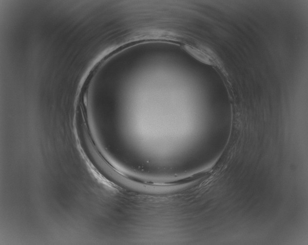 X0000053021136200507081319