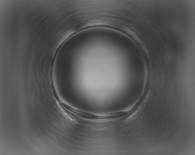 X0000053021137200507081319