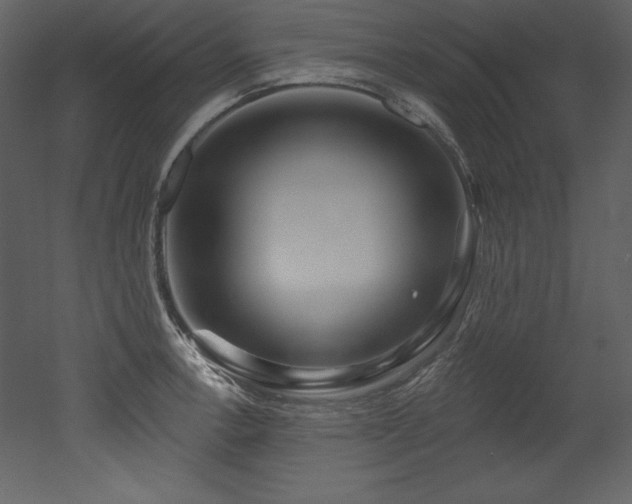X0000053021138200507081319
