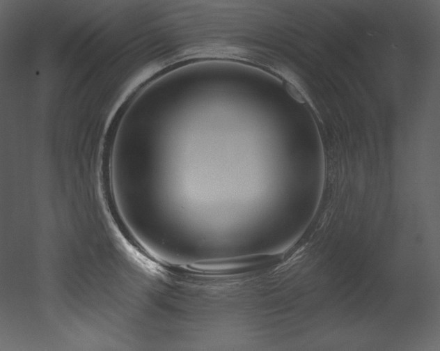 X0000053021139200507081319