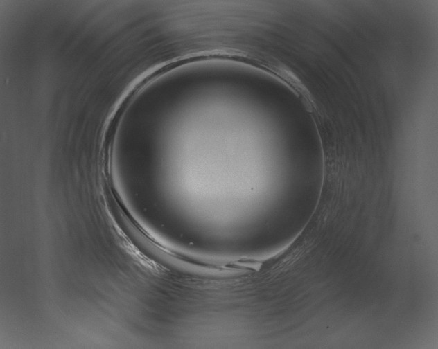 X0000053021140200507081319