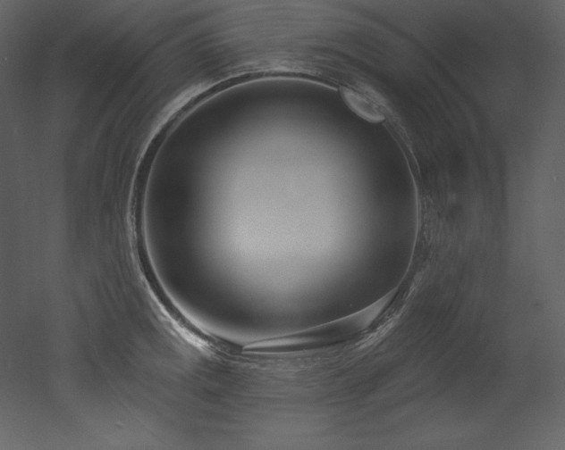 X0000053021141200507081319