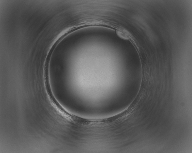 X0000053021142200507081319