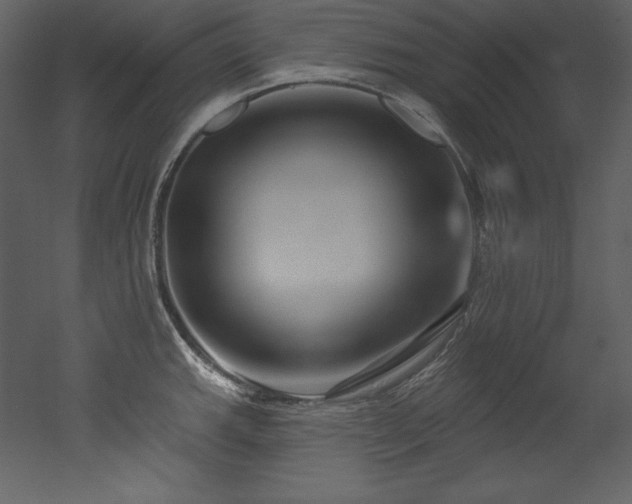 X0000053021143200507081319