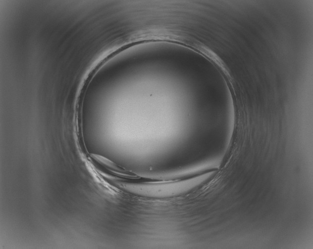 X0000053021144200507081319