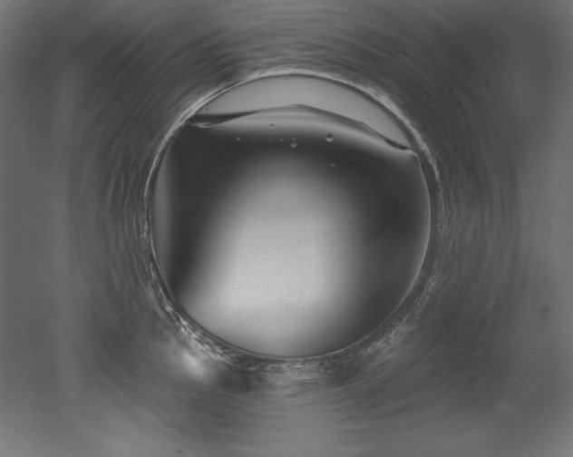 X0000053021145200507081319