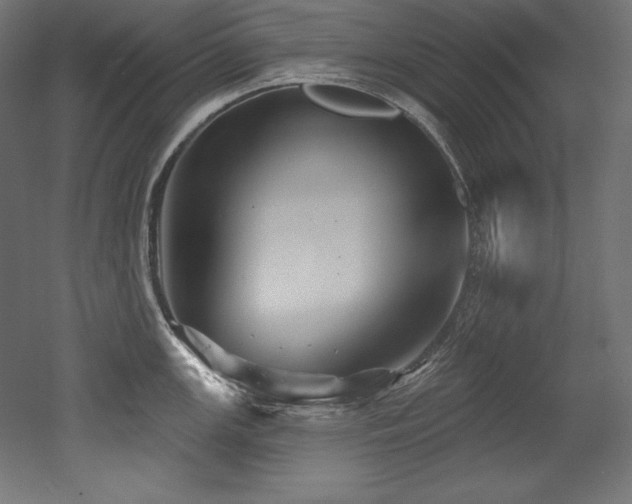 X0000053021147200507081319
