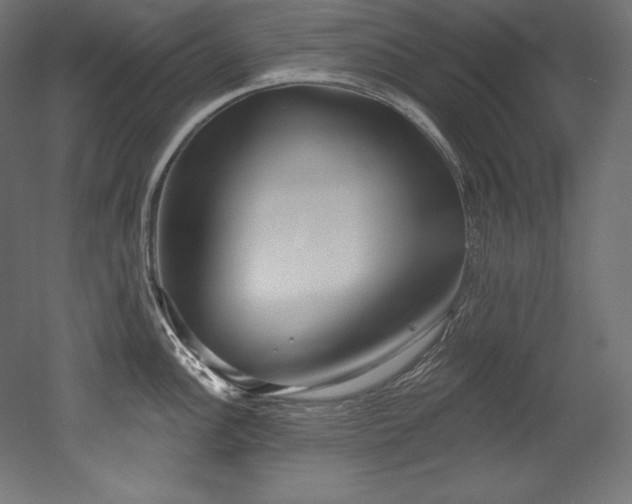 X0000053021148200507081319