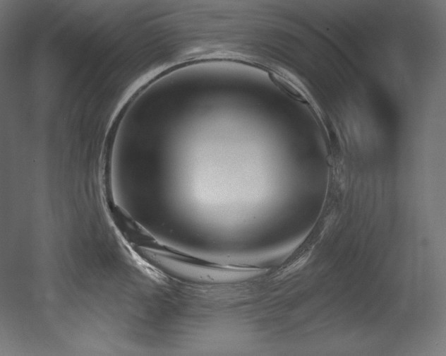 X0000053021149200507081319