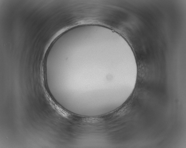 X0000053021150200507081319