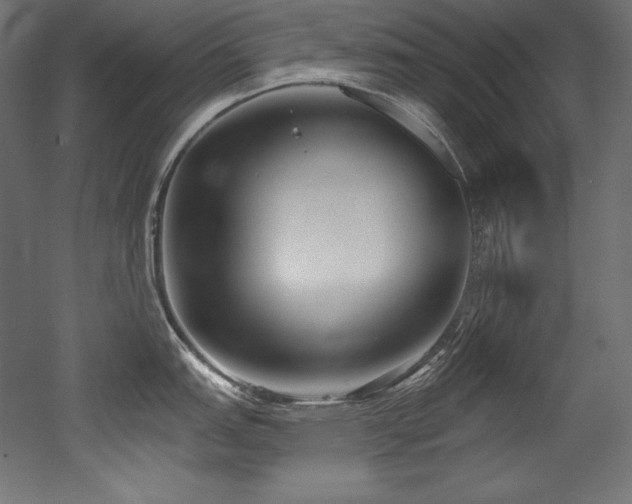 X0000053021151200507081319
