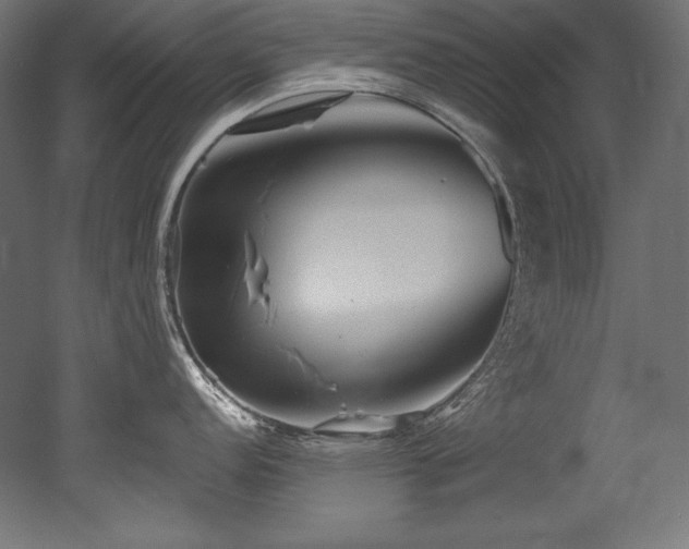 X0000053021152200507081319