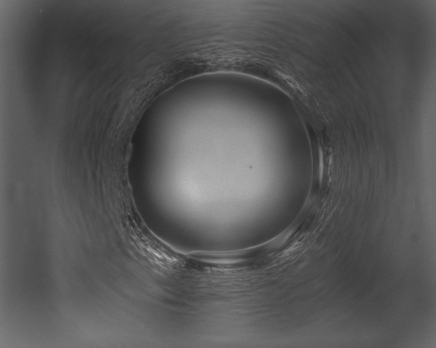X0000053021153200507081318