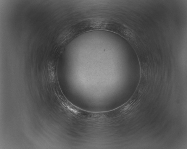X0000053021154200507081318