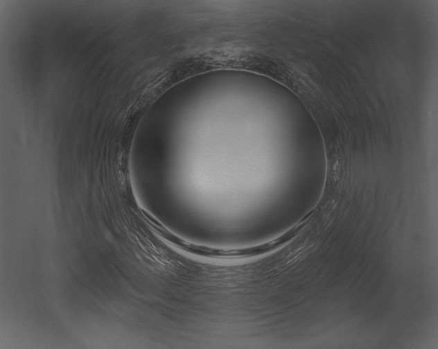 X0000053021156200507081318