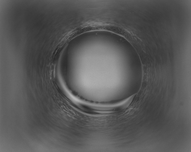 X0000053021157200507081318