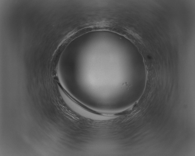 X0000053021160200507081318