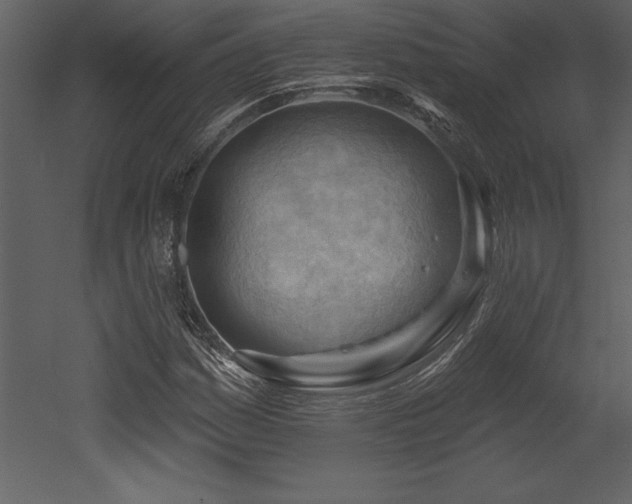 X0000053021161200507081318